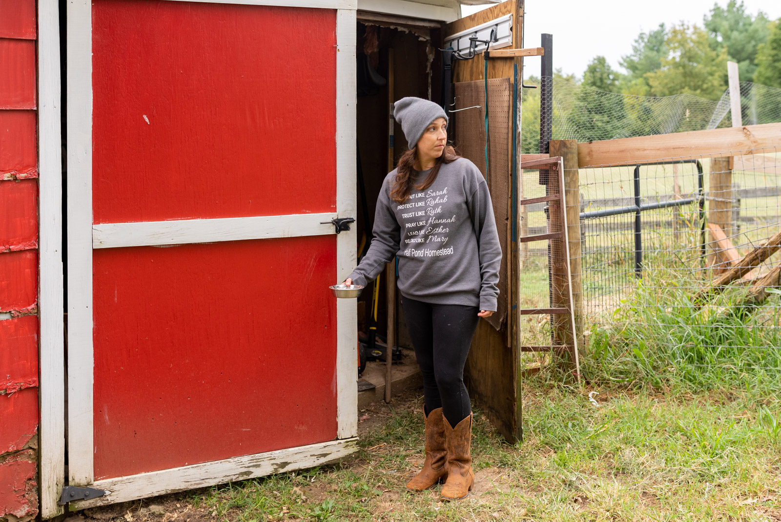 adopt barn cats rockingham county