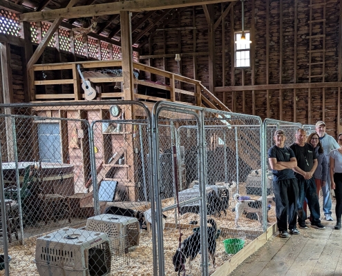 Offsite kennels, thanks to the Anderson family
